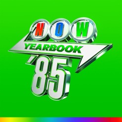 NOW YEARBOOK 1985 cover art