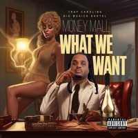 What We Want - MoneyMall
