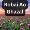 Robai Ao Ghazal - Single