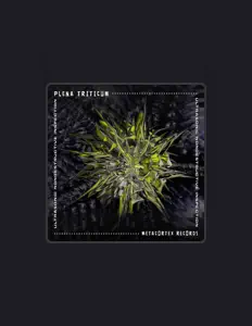 Listen to Plena Triticum, watch music videos, read bio, see tour dates & more!