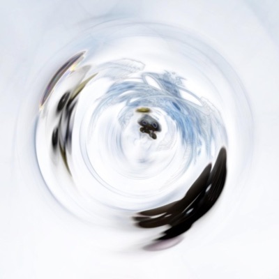 Elegant Egotist - Single