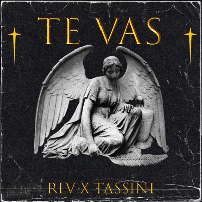 TE VAS (feat. Tassiinii) - Single