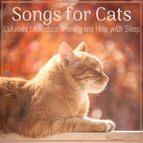 Songs for Cats: Lullabies to Reduce Anxiety and Help with Sleep