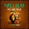 My Sidepiece (1895 Jazz Remix) - 1895 & Pokey Bear lyrics