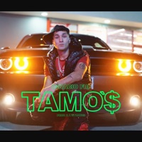 TAMO'$ - Single - Ignacio Fri