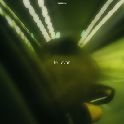 Te Levar - Single