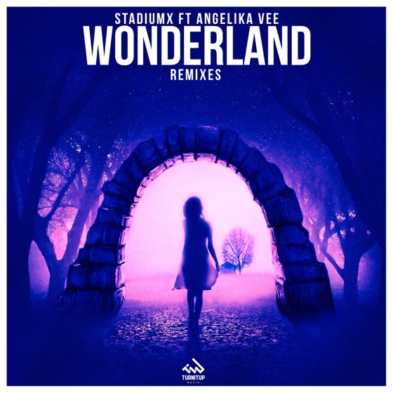 Cover artwork for Wonderland (feat. Angelika Vee)