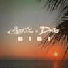 BIBI cover art