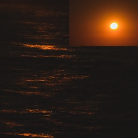 Passerby Litche & Tim Sun