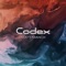 Codex - Matt Manch lyrics