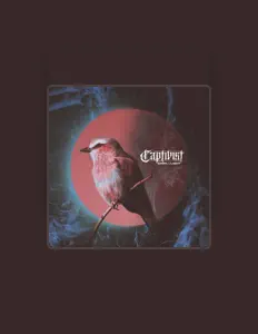 收听 Captivist、观看音乐视频、阅读小传、查看巡演日期等 ！