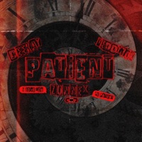PATiENT (feat. DEEKAY) - Single - PVNKSTXRNATION, Teddy70k & ZQNNEX