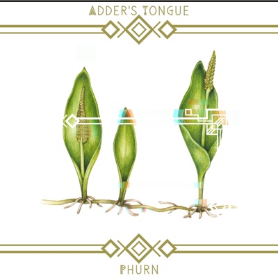 Adder's Tongue - Single