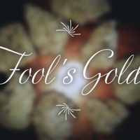 Fool's Gold - Single - Delarry Carter