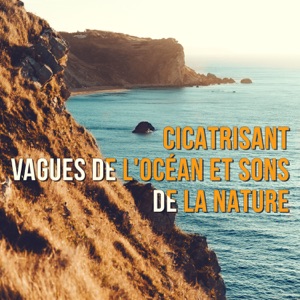 Cicatrisant vagues de l'océan et sons de la nature - Relax et bien-être, spa massage, yoga musique, séance de reiki, soulager différents problèmes