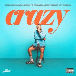 Crazy (feat. Arcángel, Lenny Tavárez & Jay Wheeler)