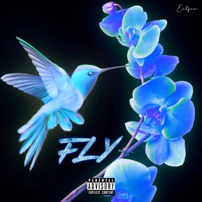 Fly - Single