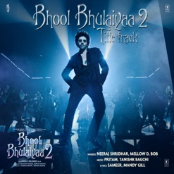 BHOOL BHULAIYAA 2 cover art