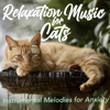 Anxiety Away - Cat Music Dreams & RelaxMyCat
