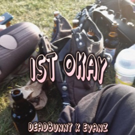 Ist okay (feat. EVANZ) deadbunny