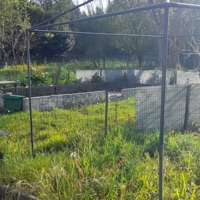 I'm Breaking My Bones (feat. Xona) - Single - Casperrr