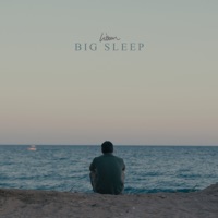Big Sleep - Single - Lissom