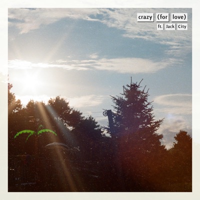 crazy (for love) (feat. Jack City) - Single