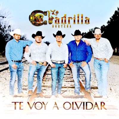 Te Voy a Olvidar - Single