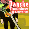 Danske Troubadurer og Skæve Hits - Various Artists