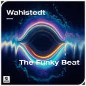 The Funky Beat artwork