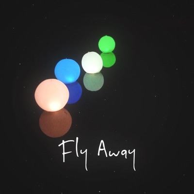 Fly Away - Single