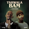 Titom & Yuppe - Tshwala Bam (feat. S.N.E & EeQue) artwork