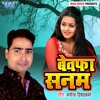 Bewafa Sanam - Single