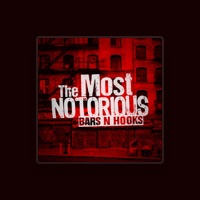 Bars N Hooks