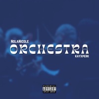 Orchestra (feat. Kayxperk) - Single - NolaNicole