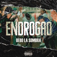 ENDROGAO - Single - Bebo La Sombra