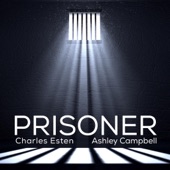 Prisoner artwork
