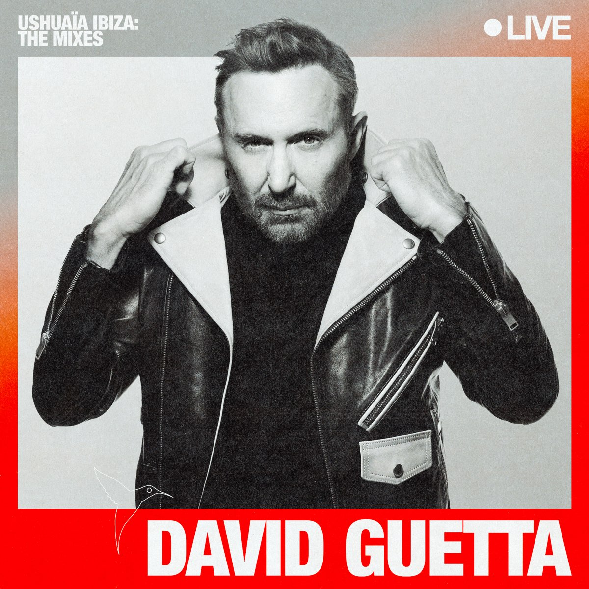 Ushuaïa Ibiza: Sep 19, 2022 (DJ Mix) by David Guetta on Apple Music