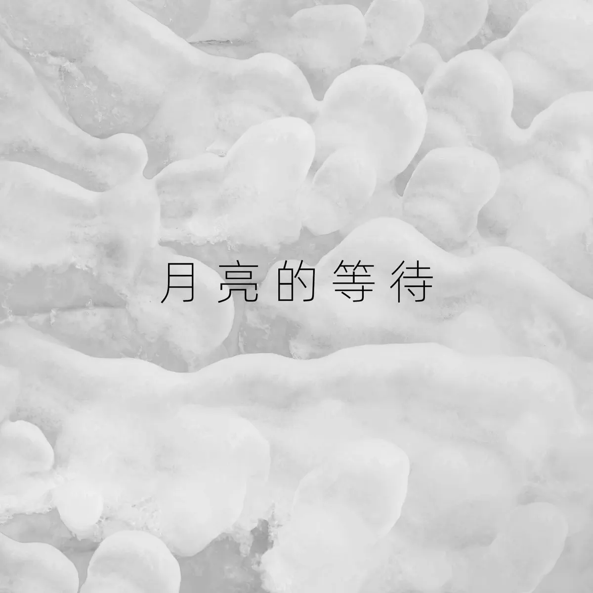 何璐 – 月亮的等待 – Single (2004) [iTunes Plus AAC M4A]-新房子