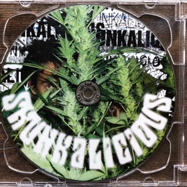 Hiperhoportunidade 8125.odeo