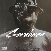 Gordonea - Kaze401 & Esco Soundz