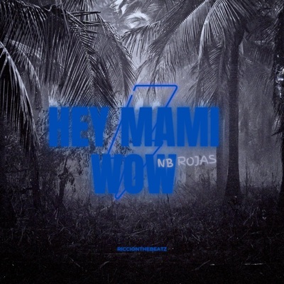 NB Rojas (Hey mami Wow) - Single
