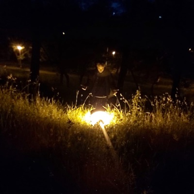 Morile De Vant - Single