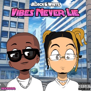 Vibes Never Lie (Radio Edit)