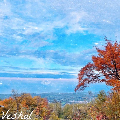 Lonely Days - Single