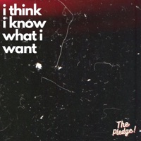 I Think I Know What I Want - Single - The Pledge