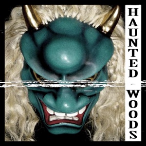 Haunted Woods - Single