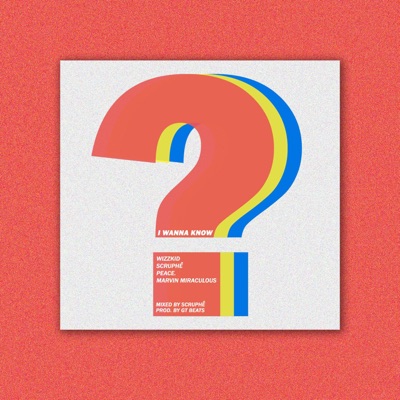 I Wanna Know (feat. Kingholyan Miraculous, Astro VL & Picasso Peace) - Single