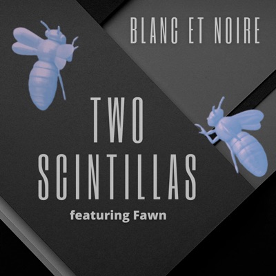 Blanc et Noire (feat. Fawn Segerson) - Single