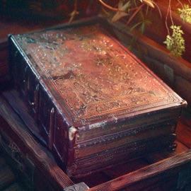 my side (feat. Dcxshy) [sped up] Bedro